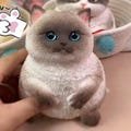 Taba Squishy Cat | Jelly Cat | Squishy Cat | Furry Squishy Cat | Squishy Toy | Squeezable Sensory Comfort Toy | Anxiety Relief Cat Toy Gifts