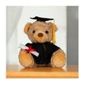 Personalized Graduation Bear, Graduation Teddy Bear 2025, Stuffed Animal, College Graduation Gifts For Him Her 2025, Graduation Keepsake