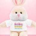 Stuffed Animal, Personalized Bunny Rabbit Plush with Tee, Don't Worry Be Hoppy, Custom Name Gift for Birthday, Best Friend, Child, Kid