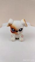 Littlest Pet Shop LPS Hasbro Figure -- #84 White Brown Sitting Boxer Puppy Dog
