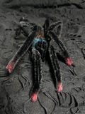 Giant Plush Guiana Pink Toed Spider, Fear Spider, Reality Spider, Custom Spider, Entomology Gift