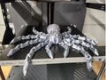 Flexi Spider - 3D Printed Toys | Decor