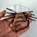 Brass Copper Crab Statue,Wild animal Lucky Brass Home Desk Ornament Decor Miniature Feng shui Tea Pet Antique Meditation Serene Figurine U61