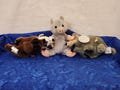 Badger Pot Belly Pig or Aardvark Coca Cola Bean Bag Plush Collection International Badgey Czech Republic Blubby Vietnam or Ardie Niger