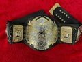 Handmade TNA-Inspired Heavyweight Wrestling Championship Replica Belt | Adult Size | 4mm Plates