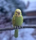Green budgie bird 17 cm stuffed animal toy paraket amigurumi plush souvenir