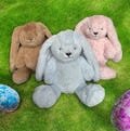 Easter Bunny Plush Toy Easter Rabbit Plush Toy Plush Toy Gift Set