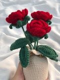 Crochet Roses, Crochet Flower in Vase, Housewarming Gift, Desk Decoration, Room Decoration, Handmade Flower, Gift for Her