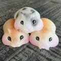 Hamster Squishy