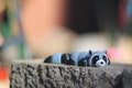 Adorable Articulating Raccoon Fidget Stone Art