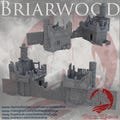 Briarwood Gate House Ruins Scenery  – Detailed 3D Printed 0.12mm Layer Height Fantasy Terrain for RPG Tabletop Games 28mm 32mm by Dark Forge