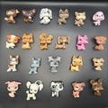 Many Dogs Lps Littlest Pet Shop animals, dachshund, Chihuahua, Boxer, Dalmatian, Husky, Biggest 5 Original! Hasbro