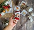 Amigurumi Miniature Sylvie Mushroom Doll, Handmade Knitted, Mushroom Doll (11 cm)