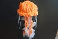 Pacific Sea Jellyfish Plush Toy, Jellyfish Doll, Handmade Ocean Soft Toy