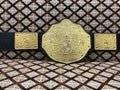 Handmade World Heavyweight Championship Belt | Big Gold Design | 6mm Zinc Plates & Leather Strap
