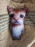 Cute Cat MeMe El Gato Cat Plush