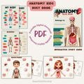 Human Anatomy Busy Book BUNDLE, Preschool Montessori Worksheets, Homeschool Resources, Learning Binder, Human Body Organ Activity Matching