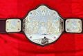 Handmade NWA Big Gold Heavyweight Championship Belt | Dual Plated Brass/Zinc | 4mm Adult Size
