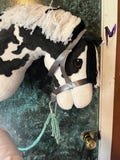 hobby horse halter and lead rope horse not included A3 halter